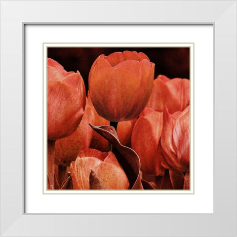 Floral Spice 2 White Modern Wood Framed Art Print with Double Matting by Prime, Marcus