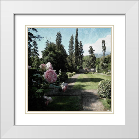 Botanical Desires White Modern Wood Framed Art Print with Double Matting by Prime, Marcus