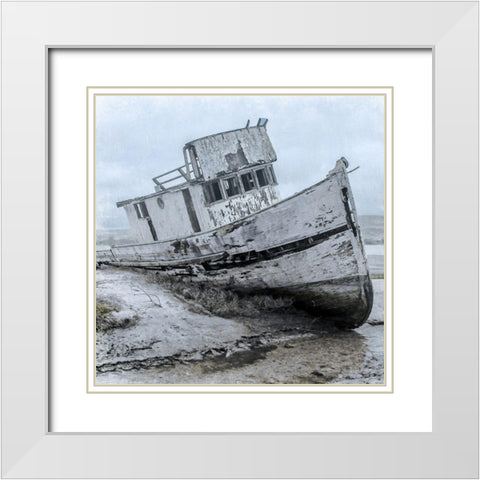 Shipwrecked Minnow 1 White Modern Wood Framed Art Print with Double Matting by Prime, Marcus