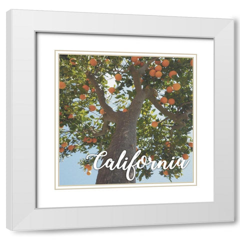 California Orange 1 White Modern Wood Framed Art Print with Double Matting by Prime, Marcus