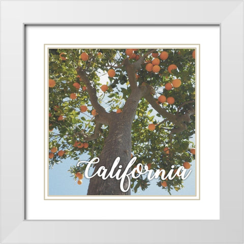 California Orange 1 White Modern Wood Framed Art Print with Double Matting by Prime, Marcus