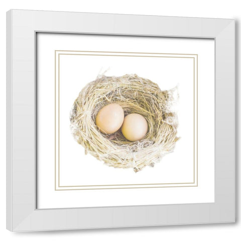 Pleasant Nesting White Modern Wood Framed Art Print with Double Matting by Prime, Marcus