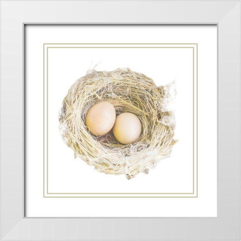 Pleasant Nesting White Modern Wood Framed Art Print with Double Matting by Prime, Marcus