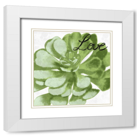 Loving Succulent 1 White Modern Wood Framed Art Print with Double Matting by Prime, Marcus