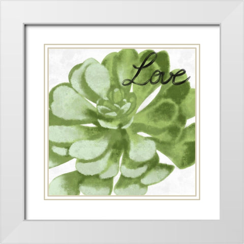 Loving Succulent 1 White Modern Wood Framed Art Print with Double Matting by Prime, Marcus