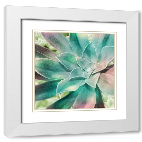 Springtime Magnifique 1 White Modern Wood Framed Art Print with Double Matting by Prime, Marcus