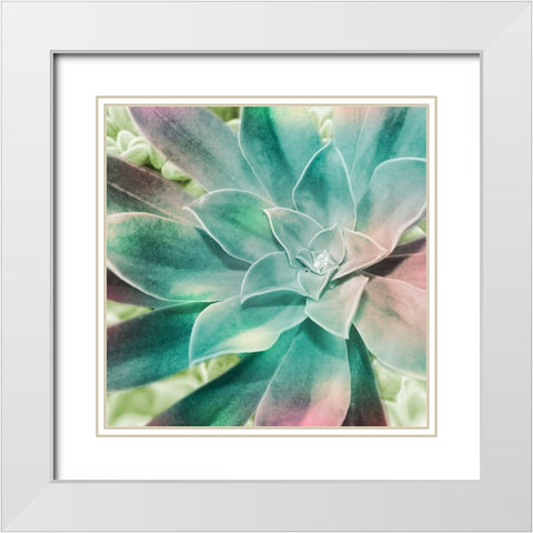 Springtime Magnifique 1 White Modern Wood Framed Art Print with Double Matting by Prime, Marcus