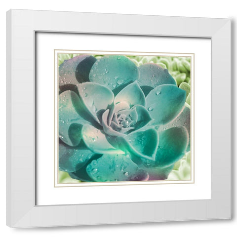 Springtime Magnifique 2 White Modern Wood Framed Art Print with Double Matting by Prime, Marcus