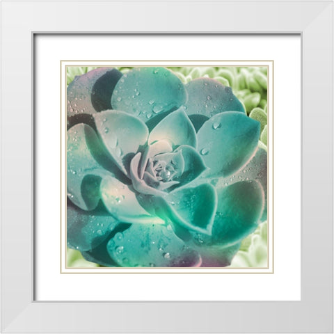 Springtime Magnifique 2 White Modern Wood Framed Art Print with Double Matting by Prime, Marcus