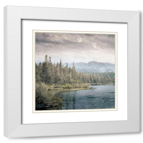 Wilderness Wonders 3 White Modern Wood Framed Art Print with Double Matting by Prime, Marcus
