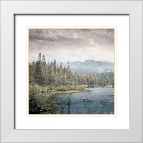 Wilderness Wonders 3 White Modern Wood Framed Art Print with Double Matting by Prime, Marcus