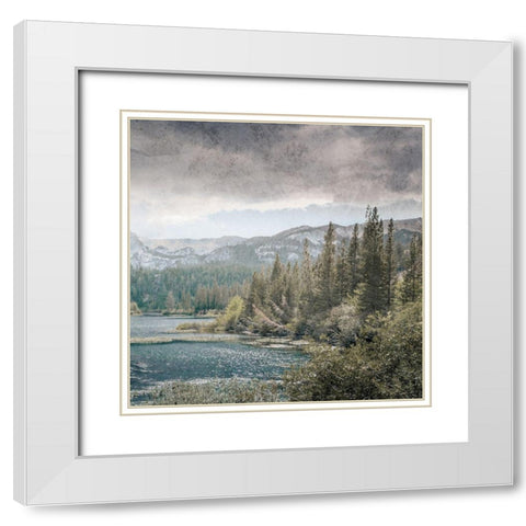 Wilderness Wonders 4 White Modern Wood Framed Art Print with Double Matting by Prime, Marcus