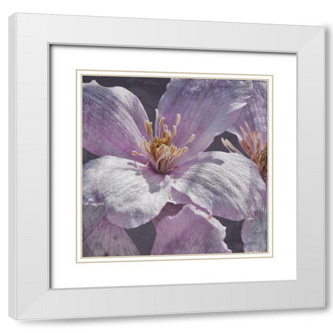 Lavender Explosion 1 White Modern Wood Framed Art Print with Double Matting by Prime, Marcus