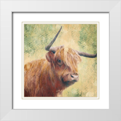 Furry Bull White Modern Wood Framed Art Print with Double Matting by Prime, Marcus