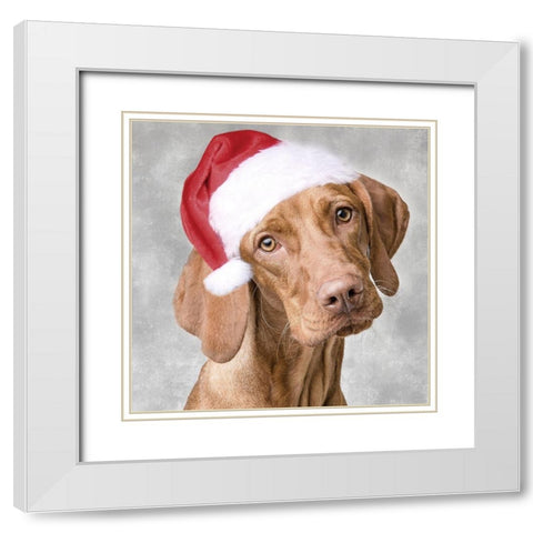 Christmas Pup 1 White Modern Wood Framed Art Print with Double Matting by Prime, Marcus