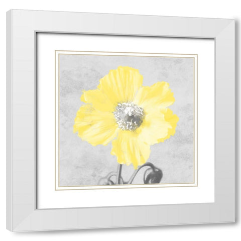 Delightful Lumination 1 White Modern Wood Framed Art Print with Double Matting by Prime, Marcus
