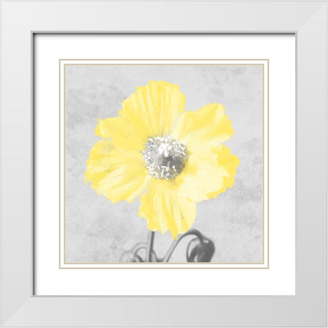 Delightful Lumination 1 White Modern Wood Framed Art Print with Double Matting by Prime, Marcus