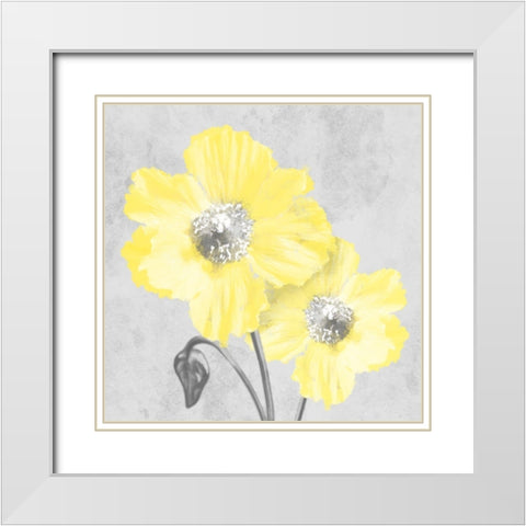 Delightful Lumination 2 White Modern Wood Framed Art Print with Double Matting by Prime, Marcus