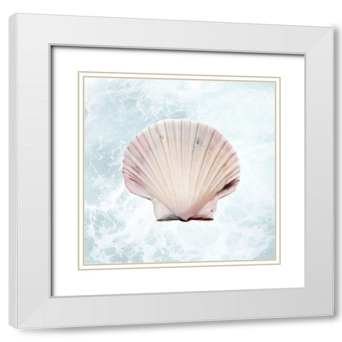 Sunshine Infused Shell 1 White Modern Wood Framed Art Print with Double Matting by Prime, Marcus
