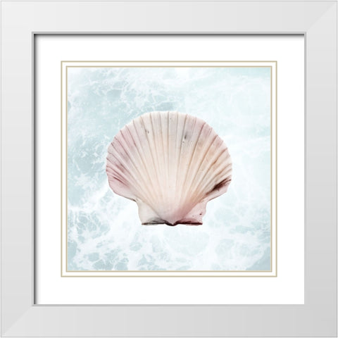 Sunshine Infused Shell 1 White Modern Wood Framed Art Print with Double Matting by Prime, Marcus