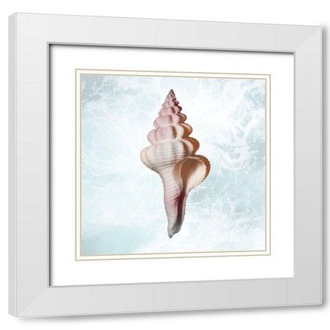Sunshine Infused Shell 2 White Modern Wood Framed Art Print with Double Matting by Prime, Marcus