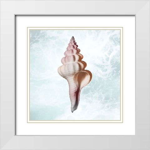 Sunshine Infused Shell 2 White Modern Wood Framed Art Print with Double Matting by Prime, Marcus