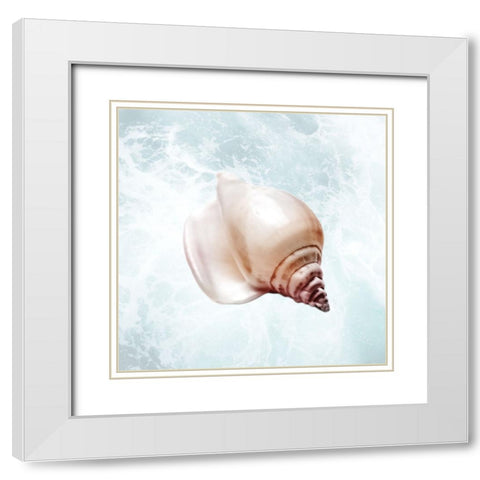 Sunshine Infused Shell 3 White Modern Wood Framed Art Print with Double Matting by Prime, Marcus