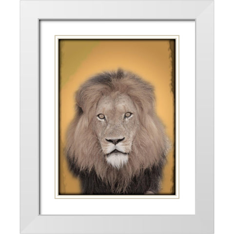 Lion In Thought 2 White Modern Wood Framed Art Print with Double Matting by Prime, Marcus
