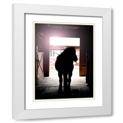 Horse Silhouette White Modern Wood Framed Art Print with Double Matting by Reed, Michele