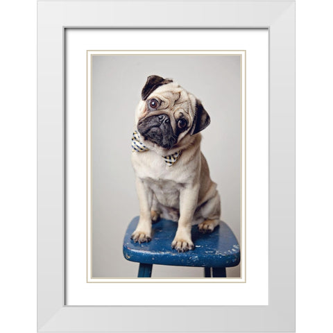 Ari Bowtie White Modern Wood Framed Art Print with Double Matting by Reed, Michele