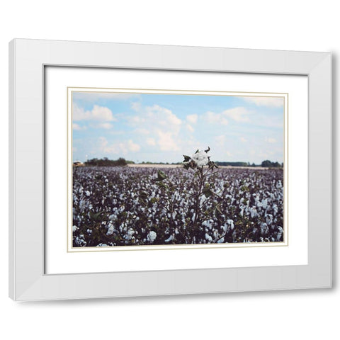 Heavy Cotton Field White Modern Wood Framed Art Print with Double Matting by Reed, Michele