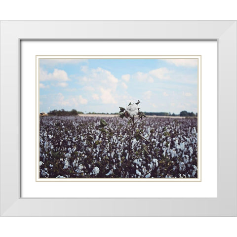 Heavy Cotton Field White Modern Wood Framed Art Print with Double Matting by Reed, Michele