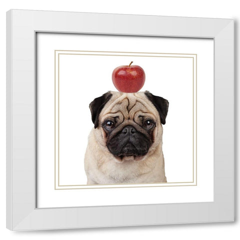 Apple White Modern Wood Framed Art Print with Double Matting by Reed, Michele