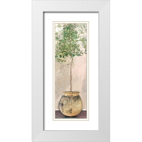 Dracaena White Modern Wood Framed Art Print with Double Matting by Miller, Savannah