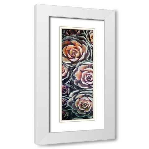 Fall Succulents White Modern Wood Framed Art Print with Double Matting by Villa, Mlli