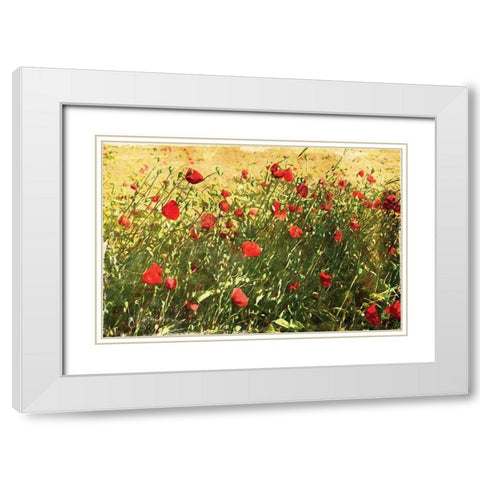 Pack Of Poppies White Modern Wood Framed Art Print with Double Matting by Villa, Mlli