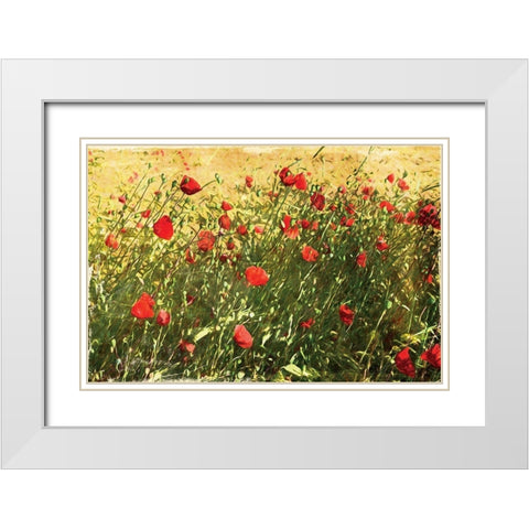 Pack Of Poppies White Modern Wood Framed Art Print with Double Matting by Villa, Mlli