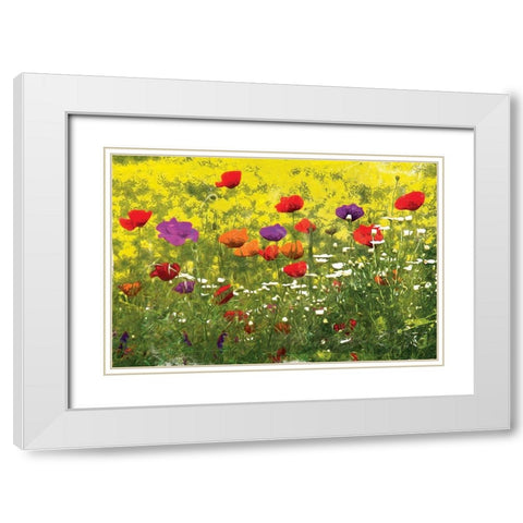 Another Pack Of Poppies White Modern Wood Framed Art Print with Double Matting by Villa, Mlli
