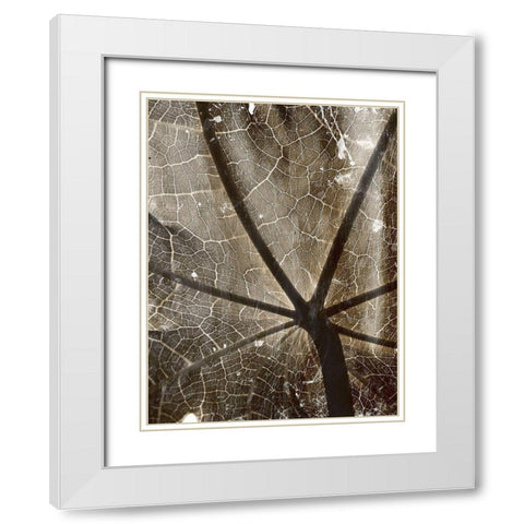 Reach White Modern Wood Framed Art Print with Double Matting by Villa, Mlli