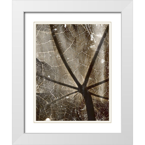 Reach White Modern Wood Framed Art Print with Double Matting by Villa, Mlli