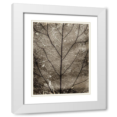 Path White Modern Wood Framed Art Print with Double Matting by Villa, Milli