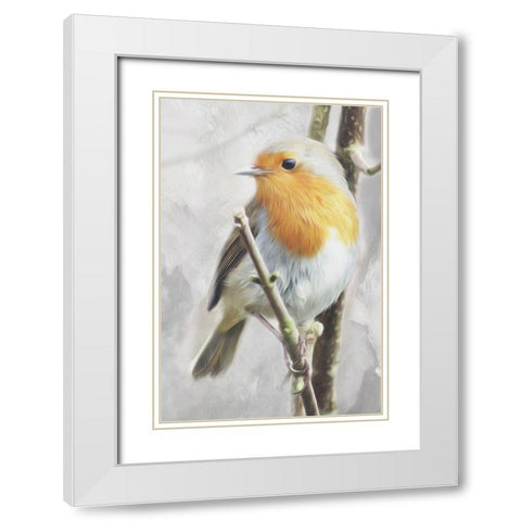 Winter Bird White Modern Wood Framed Art Print with Double Matting by Villa, Mlli