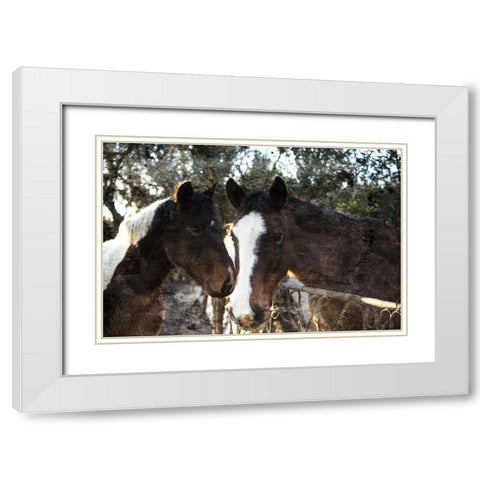 Horse Looks White Modern Wood Framed Art Print with Double Matting by Villa, Mlli