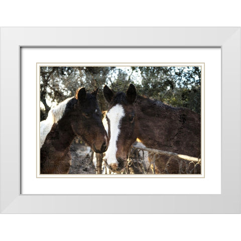 Horse Looks White Modern Wood Framed Art Print with Double Matting by Villa, Mlli