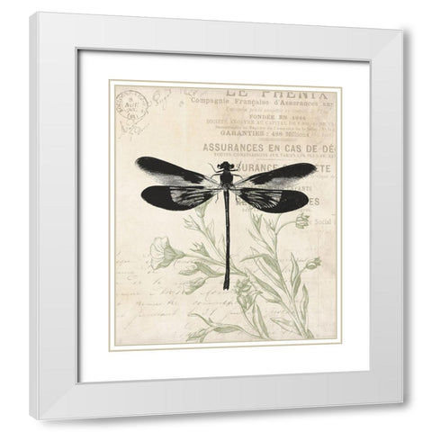 Vintage Insects White Modern Wood Framed Art Print with Double Matting by Villa, Mlli