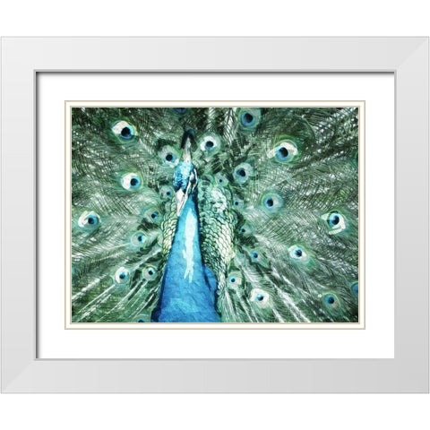 Looking Peacock White Modern Wood Framed Art Print with Double Matting by Villa, Mlli