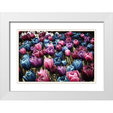 Colorful Tulips White Modern Wood Framed Art Print with Double Matting by Villa, Mlli