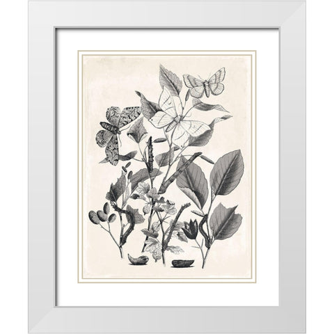 Flower And Bugs White Modern Wood Framed Art Print with Double Matting by Villa, Mlli