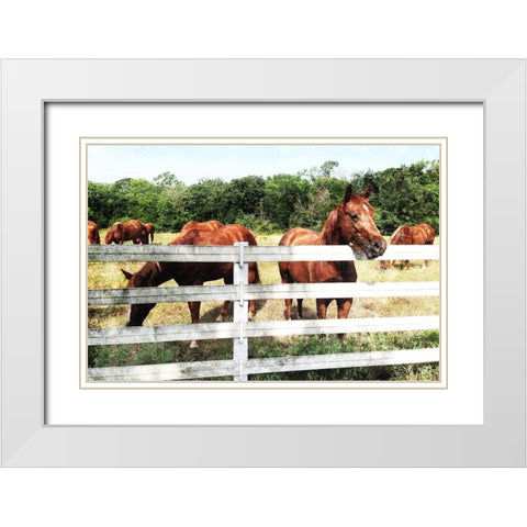 Horse Farm White Modern Wood Framed Art Print with Double Matting by Villa, Mlli