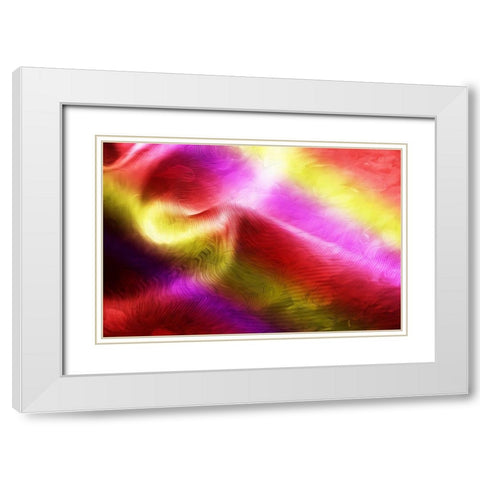 Color Swirl White Modern Wood Framed Art Print with Double Matting by Villa, Mlli